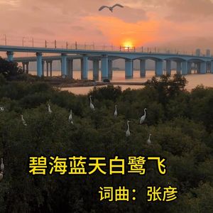 碧海蓝天白鹭飞