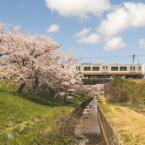 花びら