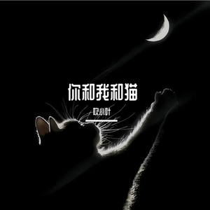 你和我和猫