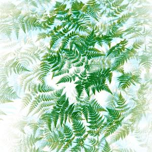 Phytochrome