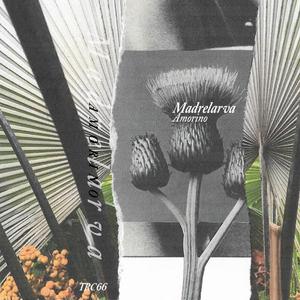 Materiales Perecederos