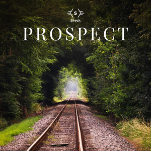 Prospect