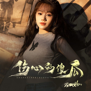 伤心的傻瓜 (DJ默涵版)