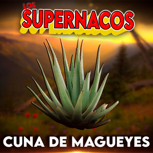 Cuna de Magueyes
