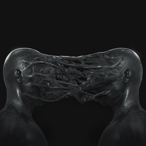 The Body Loom