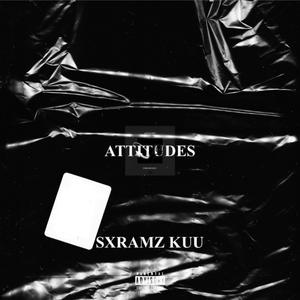 Attitudes
