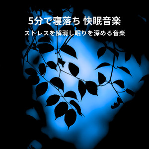 穏やかな冬の眠りへ導くサウンド