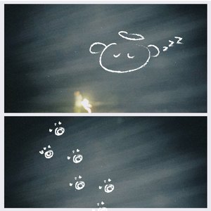 ( (_ _) ) ..zzZ