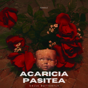 Acaricia Pacitea