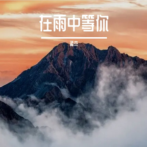 在雨中等你