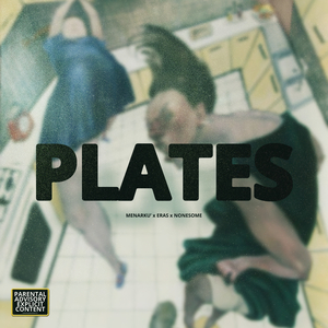 PLATES