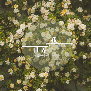 我与世界只差一个你