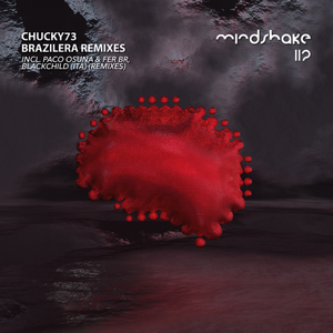 Brazilera (Paco Osuna & Fer BR Remix)