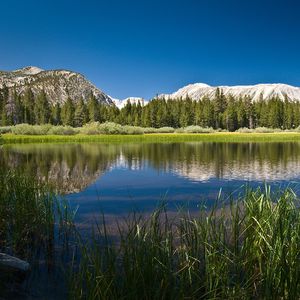 风花雪月的颂歌