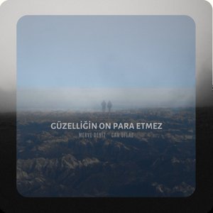 Güzelliğin On Para Etmez
