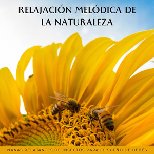 Nana De Insectos Para Bebés