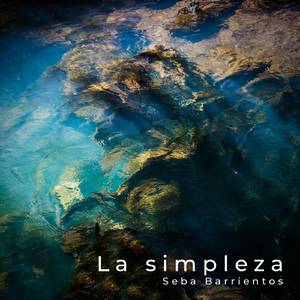 Alucinación (feat. Seba Gallardo)