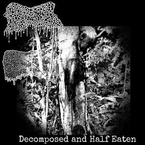 Decomposed and Half Eaten (feat. Lymphoedema)