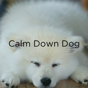 ホワイトノイズスリープ