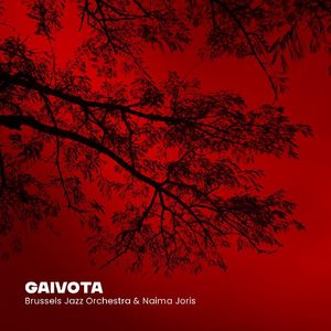 Gaivota (feat. Naima Joris)