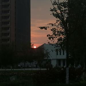 Moonlight bae Prod.by Lil Siren(feat.KONEPARK)