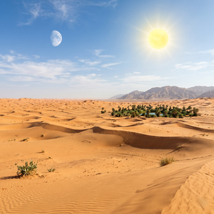 Desert Dream