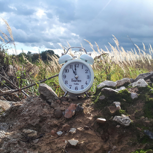 Пробуждение