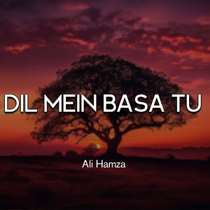 Dil Mein Basa Tu