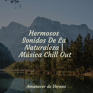 Ecos Enigmáticos Melódicos