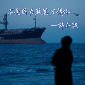 不是因为寂寞才想你