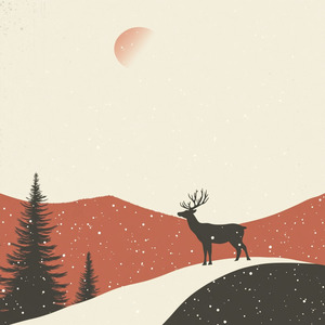 E 'nato il bambino divino