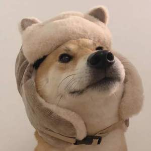 浪漫在今日之外蔓延