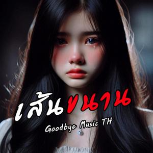 เส้นขนาน