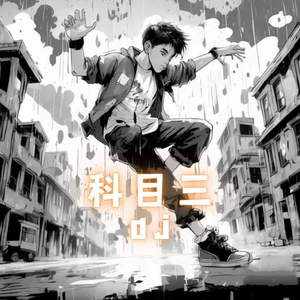 科目三 (DJ版)