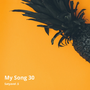 Track 30