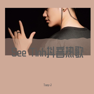 See Tinh（Tony-JRemix）