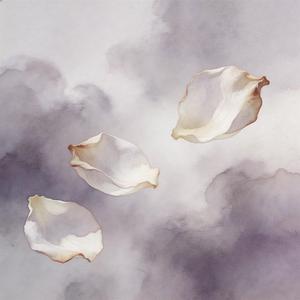 两全之策（可人生就是边走边舍）