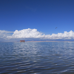 措温布（钢琴）