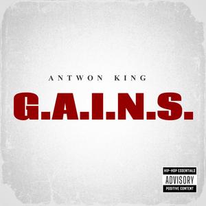 G.A.I.N.S.