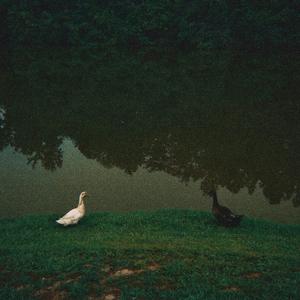 last message from grandma