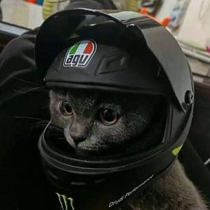 我爱你（cover：AiHo）（翻自 AiHo）