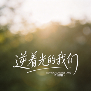 逆着光的我们（原版）