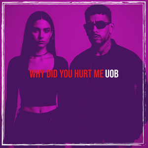 Why Did You Hurt Me
