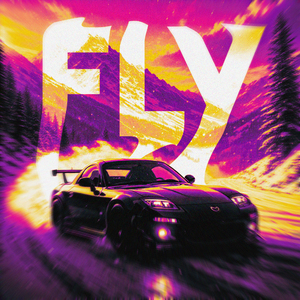 Fly