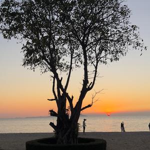 วาเลนไทน์สายโสด