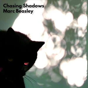 Chasing Shadows