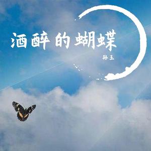 酒醉的蝴蝶（翻自 崔伟立）