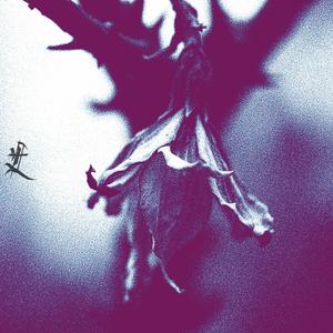 Ascension (Official Single)