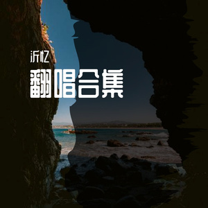 盗将行-(cover:沂忆)