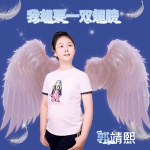 我想要一双翅膀